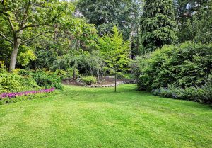 Optimiser l'expérience du jardin à Domfaing